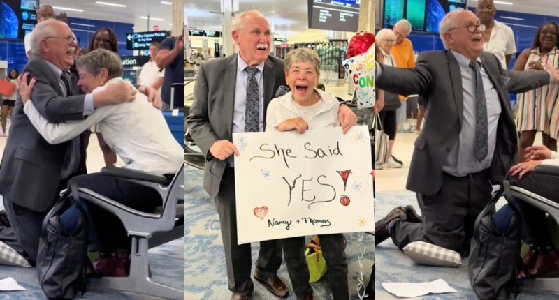 "78-year-old man proposing at airport with red rose"